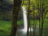 Waterfall Behind Trees Photographic Print by Robert Glusic