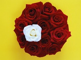 White Rose in Red Rose Bouquet Photographic Print