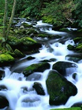 River Cascading Down Moss-Covered Rocks Photographic Print by Robert Marien