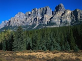 Forest and Castle Mountain Photographic Print by Robert Marien