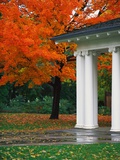 Autumn in a Milwaukee Park Photographic Print by L. Clarke