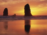 Sea Stacks at Cannon Beach Photographic Print by Darrell Gulin