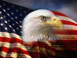 Cabeza de águila calva y bandera americana Lámina fotográfica por Joseph Sohm