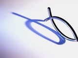 Fish Symbol Casting Shadow Photographic Print by Scott Speakes