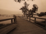 Bridge Leading to Pier Fotografie-Druck von Guy Cali