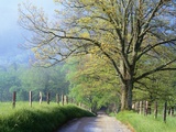 Cades Cove Lane in Great Smoky Mountains National Park Photographie par Darrell Gulin
