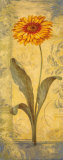 Topaz Skies III Prints by Pamela Gladding