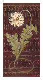 African Daisy II Prints by Linda Hutchinson
