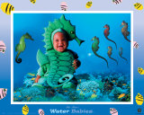 Water Babies Seahorse Affiches par Tom Arma