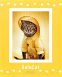 Rain Cat Kunst von Rachael Hale