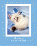 Hard-to-Pet Posters by Rachael Hale