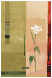 Tulipán blanco solitario Pósters por Fernando Leal Tulipán blanco solitario Pósters por Fernando Leal