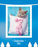 Clothesline Chic Posters by Rachael Hale