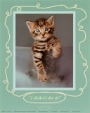 C'est pas moi ! Affiches par Rachael Hale
