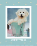 Chien dans un seau Art par Rachael Hale
