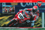 Ducati Superbike Posters Ducati Superbike Posters