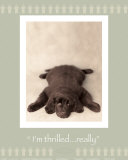 J'ai peur… si si Affiches par Rachael Hale