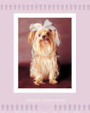 Mom's Favorite Posters by Rachael Hale