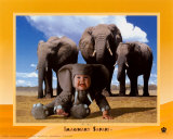 Imaginary Safari, Elephant Arte por Tom Arma