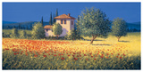 Campos estivales I Láminas por David Short Campos estivales I Láminas por David Short