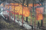 The Gates Project, Photo #28 Póster por Christo