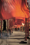The Gates, Photo No. 26 Poster by Christo 