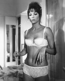 Elsa Martinelli Photographie