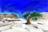 Trees Alive I Kunstdrucke von Ynon Mabet
