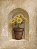 Potted Flowers II Prints by Michael Marcon