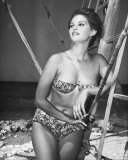 Claudia Cardinale Photo
