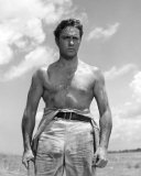 Richard Todd Photo