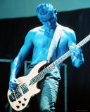 Tool Fotografía