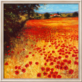 Prato di rosso e oro Poster di Steve Thoms Prato di rosso e oro Poster di Steve Thoms