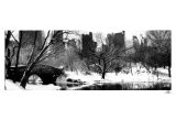 Love Bridge in Central Park, Winter Poster por Igor Maloratsky Love Bridge in Central Park, Winter Poster por Igor Maloratsky