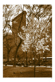 Flatiron / Spring Pósters por Igor Maloratsky Flatiron / Spring Pósters por Igor Maloratsky