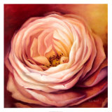 Rose Portrait Láminas por Lisa Audit