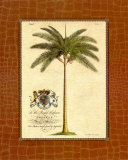 Palmier dattier Affiche par Georg Dionysius Ehret