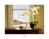 Orchids with Teapots Poster by Zhen-Huan Lu