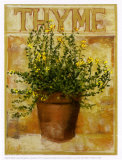 Thyme Posters by Carol Elizabeth