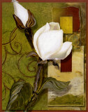 Beautiful Magnolia II Poster by Sara Kaye