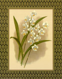 Orchidées classiques IV Affiches par Tara Wilde