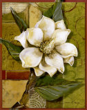Beautiful Magnolia I Prints by Sara Kaye