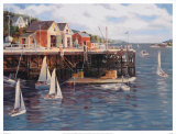 Sailing Class Prints by Jacqueline Penney