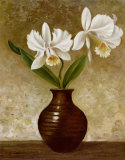 Flowering Orchid Poster by Charles Gaul
