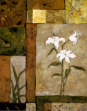 Nature's Bounty III Posters by Judi Bagnato
