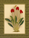 Orchidées classiques II Affiches par Tara Wilde