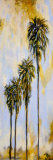 Palm Drive II Prints by Brenda Johnson