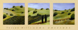 Tuscan Hills Posters av Claire Burke