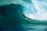 Let's Go Surfing Print