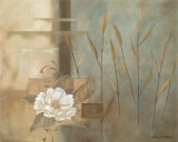 Teal Peony Poster by Carol Robinson